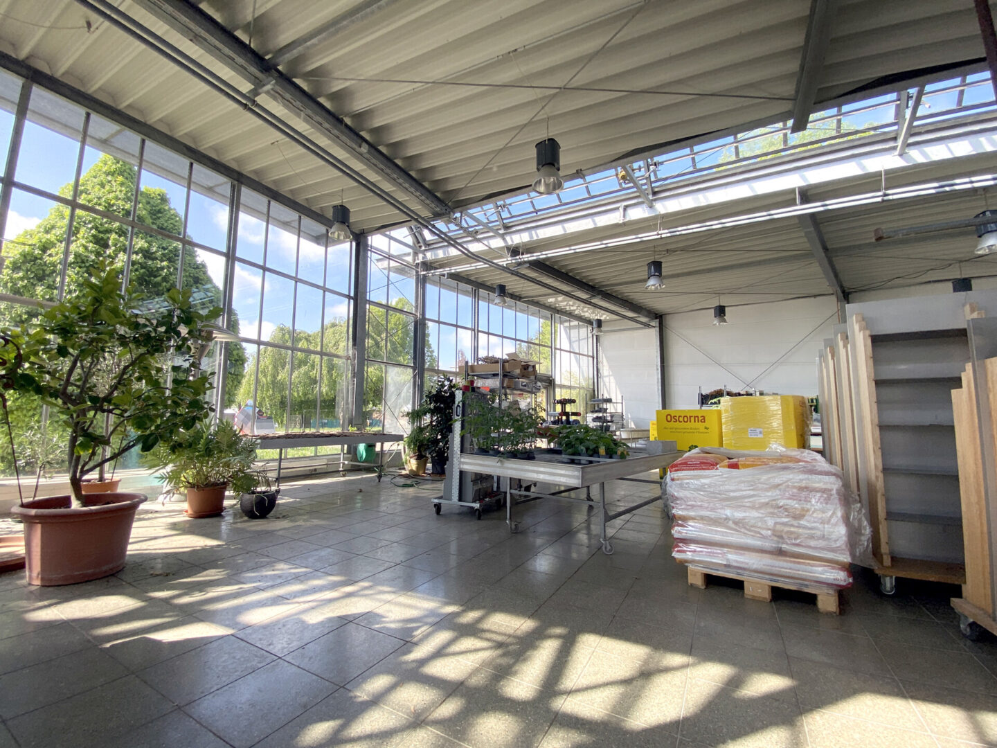 Showroom